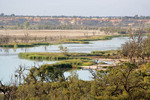 Pike Creek near Loxton & Lyrup, South Australia