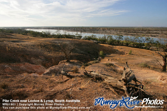 Pike Creek near Loxton & Lyrup, South Australia