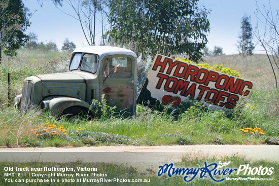 Old truck near Rutherglen, Victoria