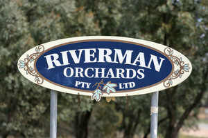 Riverman Orchards sign, Pingal, Victoria