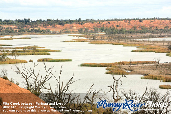 Pike Creek between Paringa and Lyrup