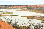 Pike Creek between Paringa and Lyrup