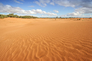 Perry Sandhills, Wentworth