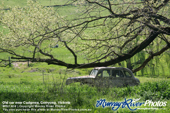 Old car near Cudgewa, Corryong, Victoria