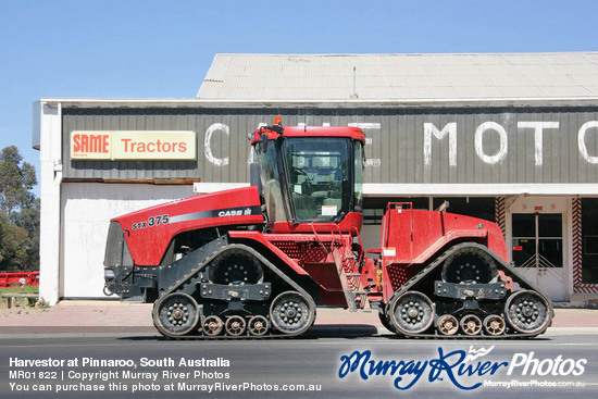 Harvestor at Pinnaroo, South Australia