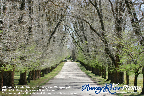 All Saints Estate Winery, Rutherglen / Wahgunyah