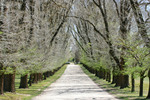 All Saints Estate Winery, Rutherglen / Wahgunyah