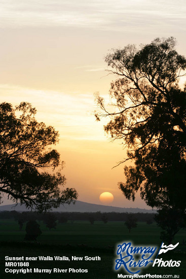 Sunset near Walla Walla, New South Wales