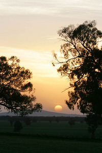 Sunset near Walla Walla, New South Wales