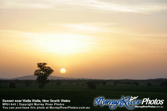 Sunset near Walla Walla, New South Wales