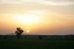 Sunset near Walla Walla, New South Wales