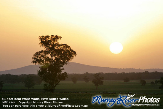 Sunset near Walla Walla, New South Wales