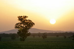 Sunset near Walla Walla, New South Wales