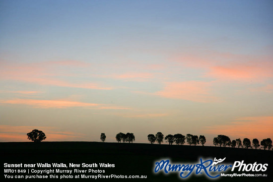 Sunset near Walla Walla, New South Wales