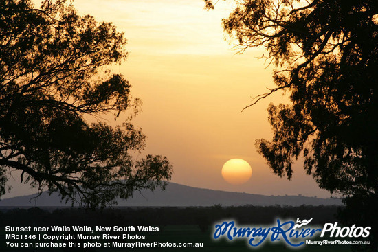 Sunset near Walla Walla, New South Wales