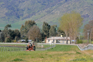 Towong Racecourse, Victoria