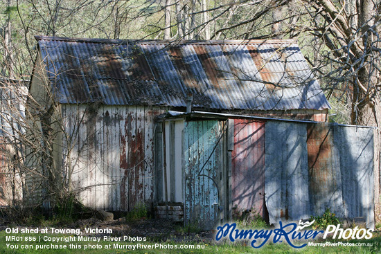 Old shed at Towong, Victoria