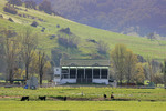 Towong Racecourse, Victoria