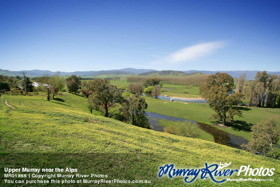 Upper Murray near the Alps