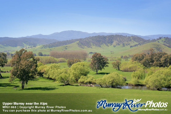 Upper Murray near the Alps