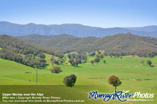 Upper Murray near the Alps