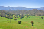 Upper Murray near the Alps