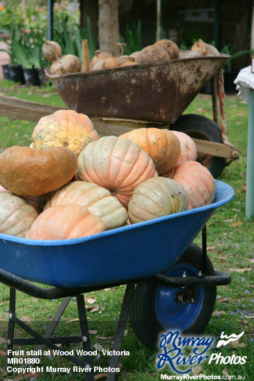 Fruit stall at Wood Wood, Victoria