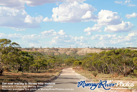 Dirt road leading to Murray near Waikerie