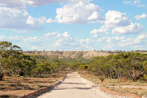 Dirt road leading to Murray near Waikerie