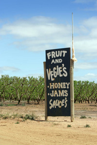 Fruit signs at Wood Wood