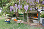 Fruit stall at Wood Wood, Victoria