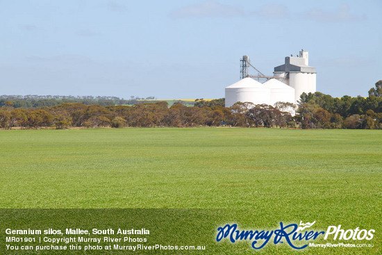 Geranium silos, Mallee, South Australia