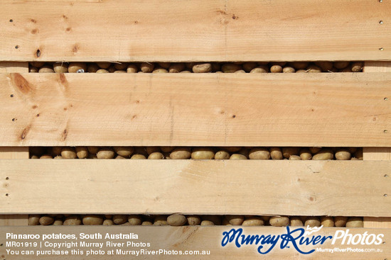 Pinnaroo potatoes, South Australia