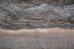 Wood from a mallee post, South Australia