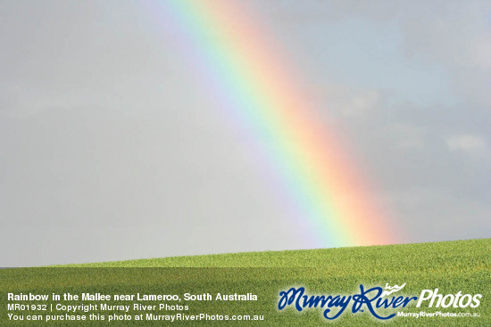 Rainbow in the Mallee near Lameroo, South Australia