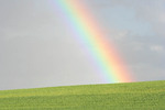 Rainbow in the Mallee near Lameroo, South Australia