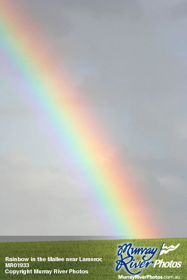 Rainbow in the Mallee near Lameroo, South Australia