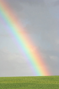 Rainbow in the Mallee near Lameroo, South Australia