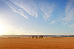 Landscape near Cambrai, South Australia