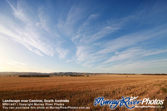 Landscape near Cambrai, South Australia