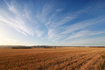 Landscape near Cambrai, South Australia