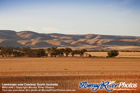 Landscape near Cambrai, South Australia