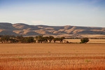 Landscape near Cambrai, South Australia