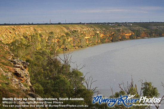 Murray River up from Blanchetown, South Australia