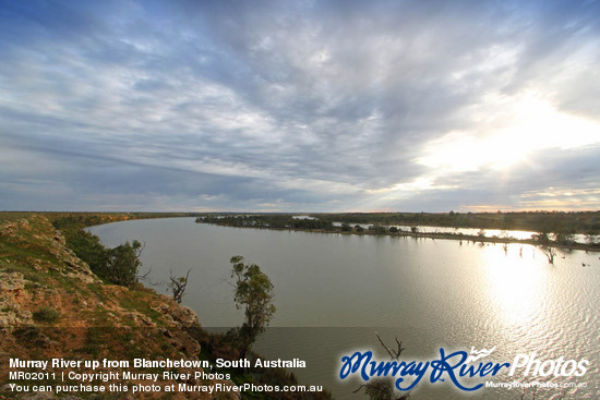 Murray River up from Blanchetown, South Australia