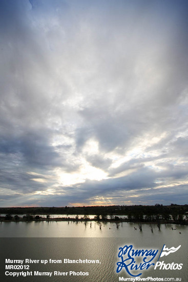 Murray River up from Blanchetown, South Australia