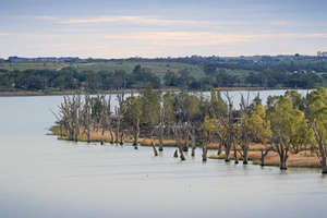 Murray River up from Blanchetown, South Australia