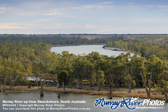 Murray River up from Blanchetown, South Australia