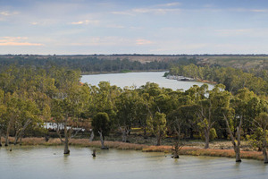 Murray River up from Blanchetown, South Australia