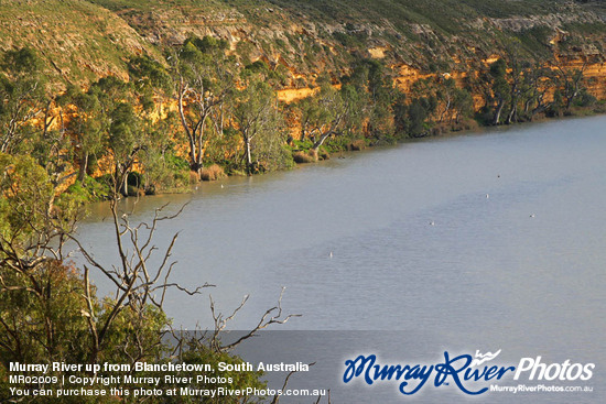 Murray River up from Blanchetown, South Australia